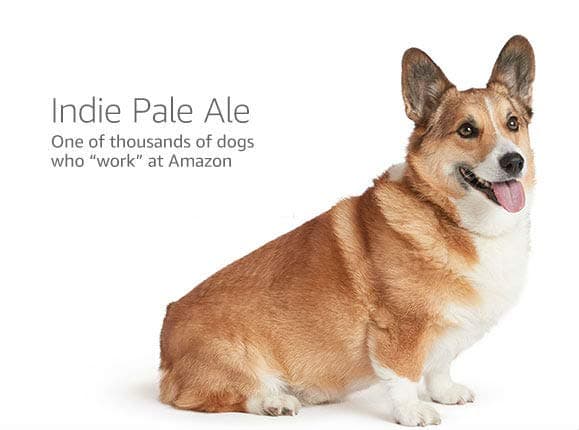 MBNA Amazon.ca Rewards MC